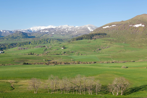 Serrurier Cournon-d'Auvergne